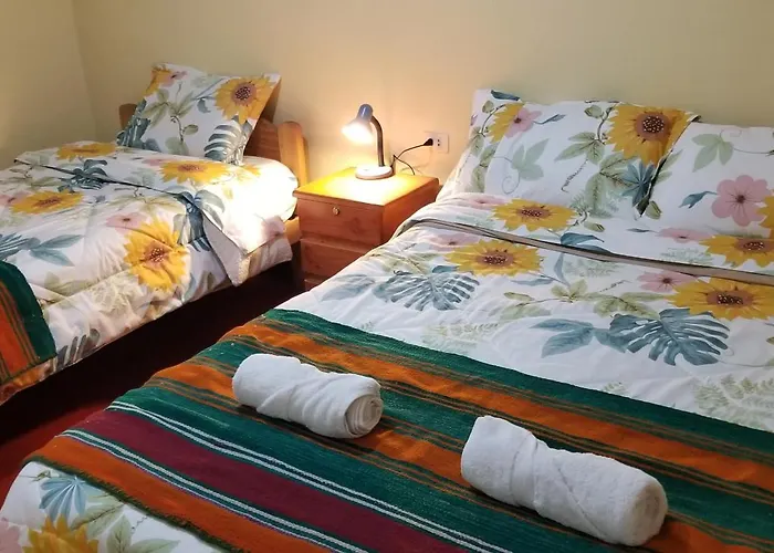 Nest * Cuzco