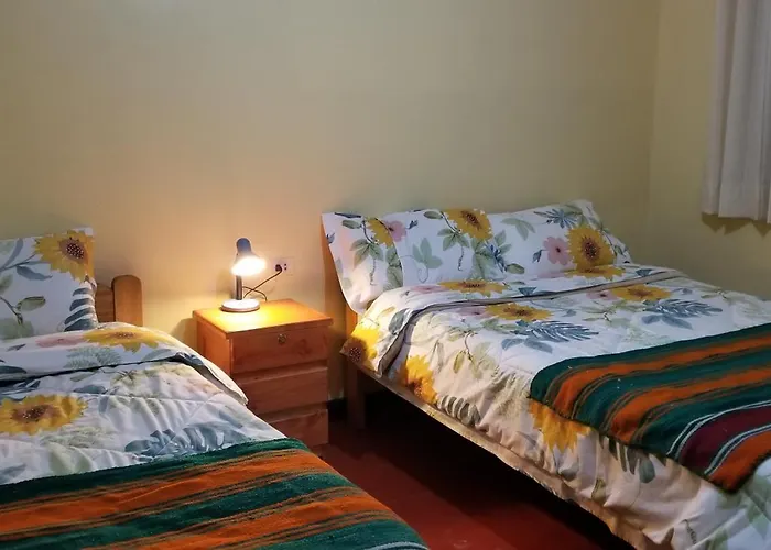 Nest Pensión Cuzco
